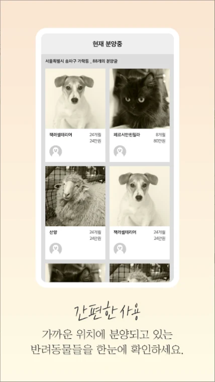 바닐라펫
